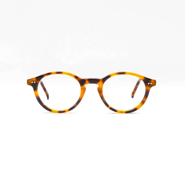 Montura de acetato GYG1093, novedad